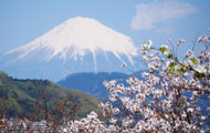 Japão Tradicional (Viagem para o Japão:Toquio, Osaka, Nara, Quioto, Hiroshima, Miyajima, Nagasaki, Kumamoto, Monte Aso, Beppu, Okayama, Monte Fuji,Atami, Hakone )