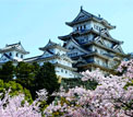 Templo Todaiji